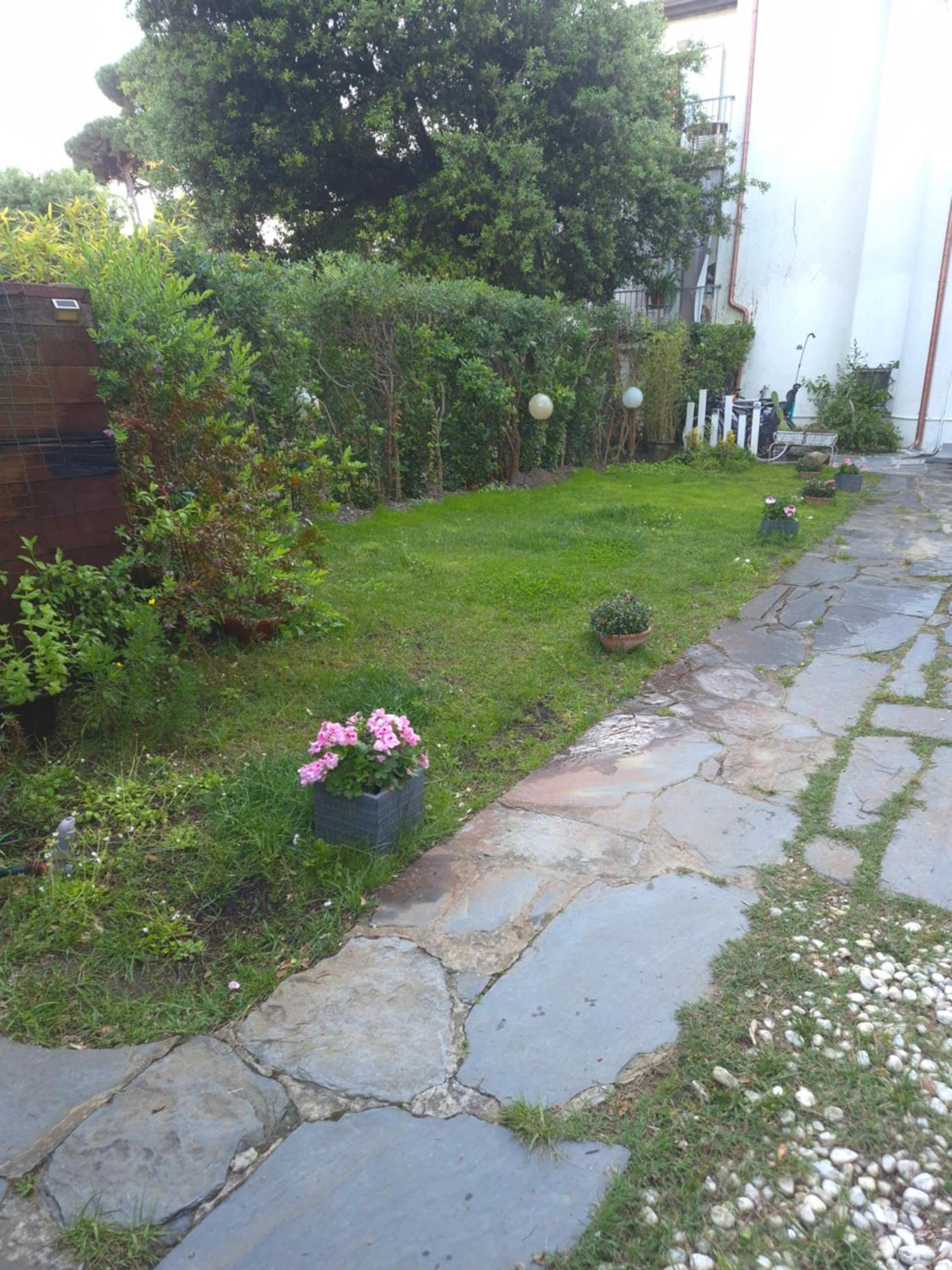 Domusauroom, Relax Nel Cuore Della Versilia - Pet Friendly 비아레지오 외부 사진