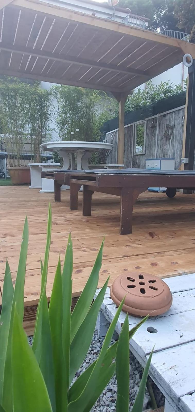 Domusauroom, Relax Nel Cuore Della Versilia - Pet Friendly 비아레지오 외부 사진