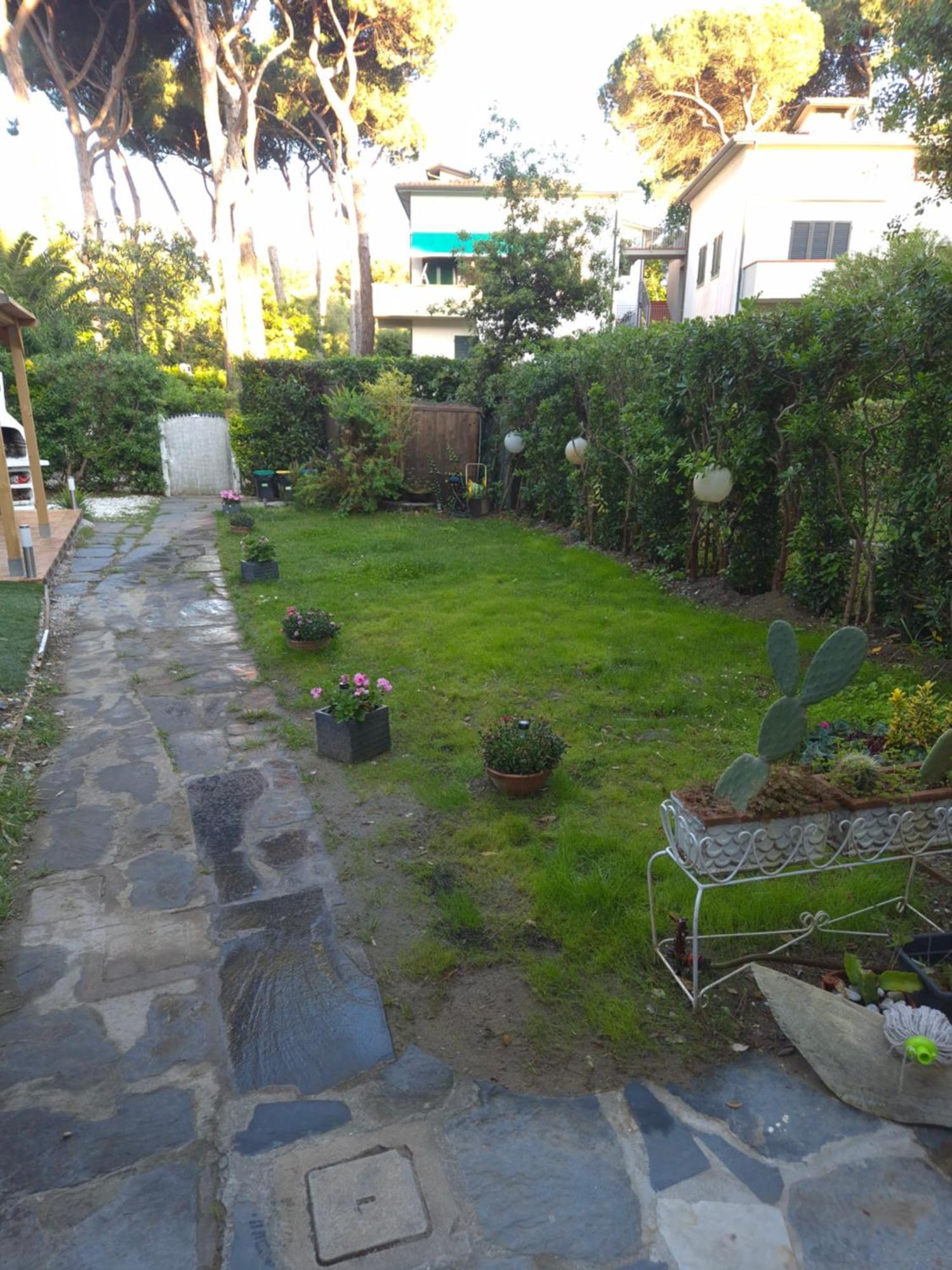 Domusauroom, Relax Nel Cuore Della Versilia - Pet Friendly 비아레지오 외부 사진